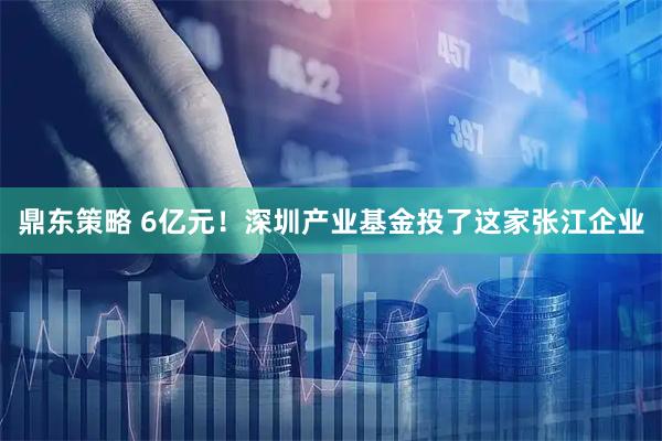 鼎东策略 6亿元！深圳产业基金投了这家张江企业