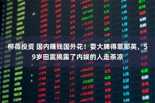 柳荷投资 国内赚钱国外花！耍大牌得罪那英，59岁田震揭露了内娱的人走茶凉